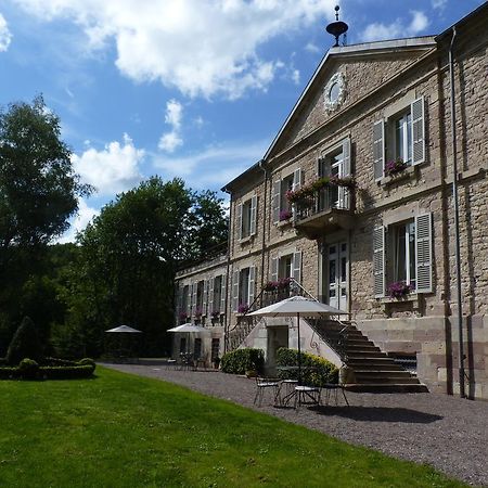 Bed and Breakfast Chateau De La Houillere Champagney Экстерьер фото