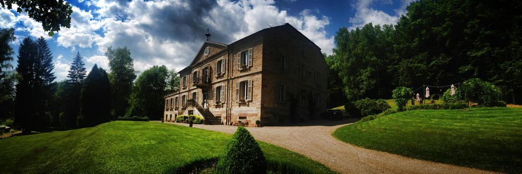 Bed and Breakfast Chateau De La Houillere Champagney Экстерьер фото