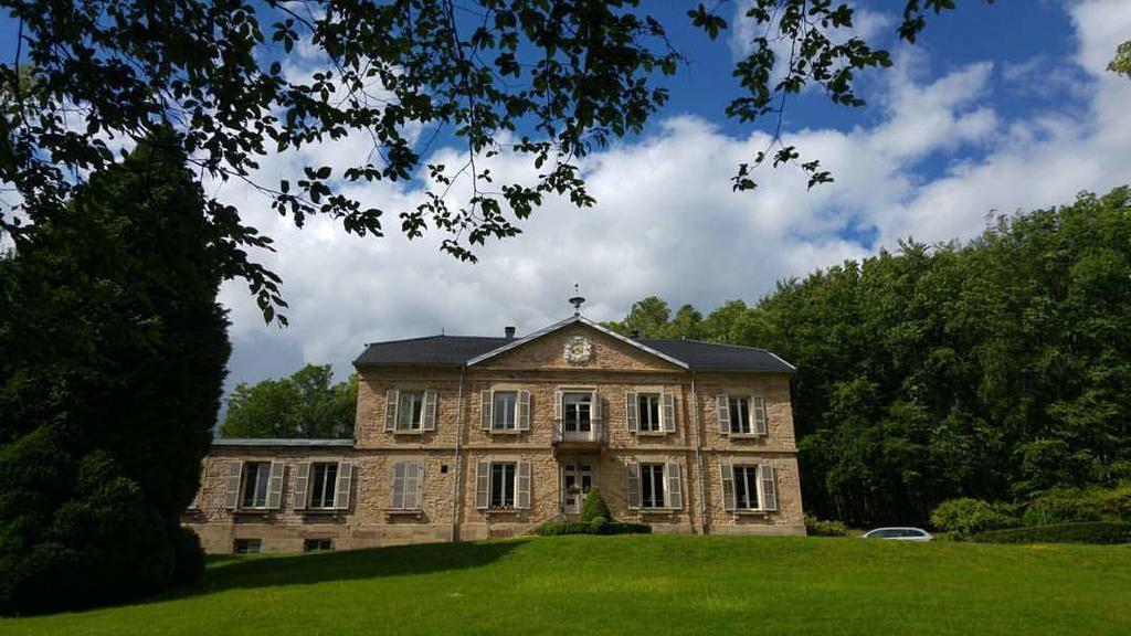 Bed and Breakfast Chateau De La Houillere Champagney Экстерьер фото