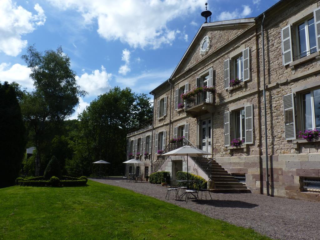 Bed and Breakfast Chateau De La Houillere Champagney Экстерьер фото